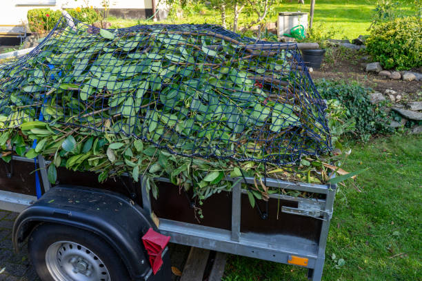 Best Hoarding Cleanup  in Northfield, NJ